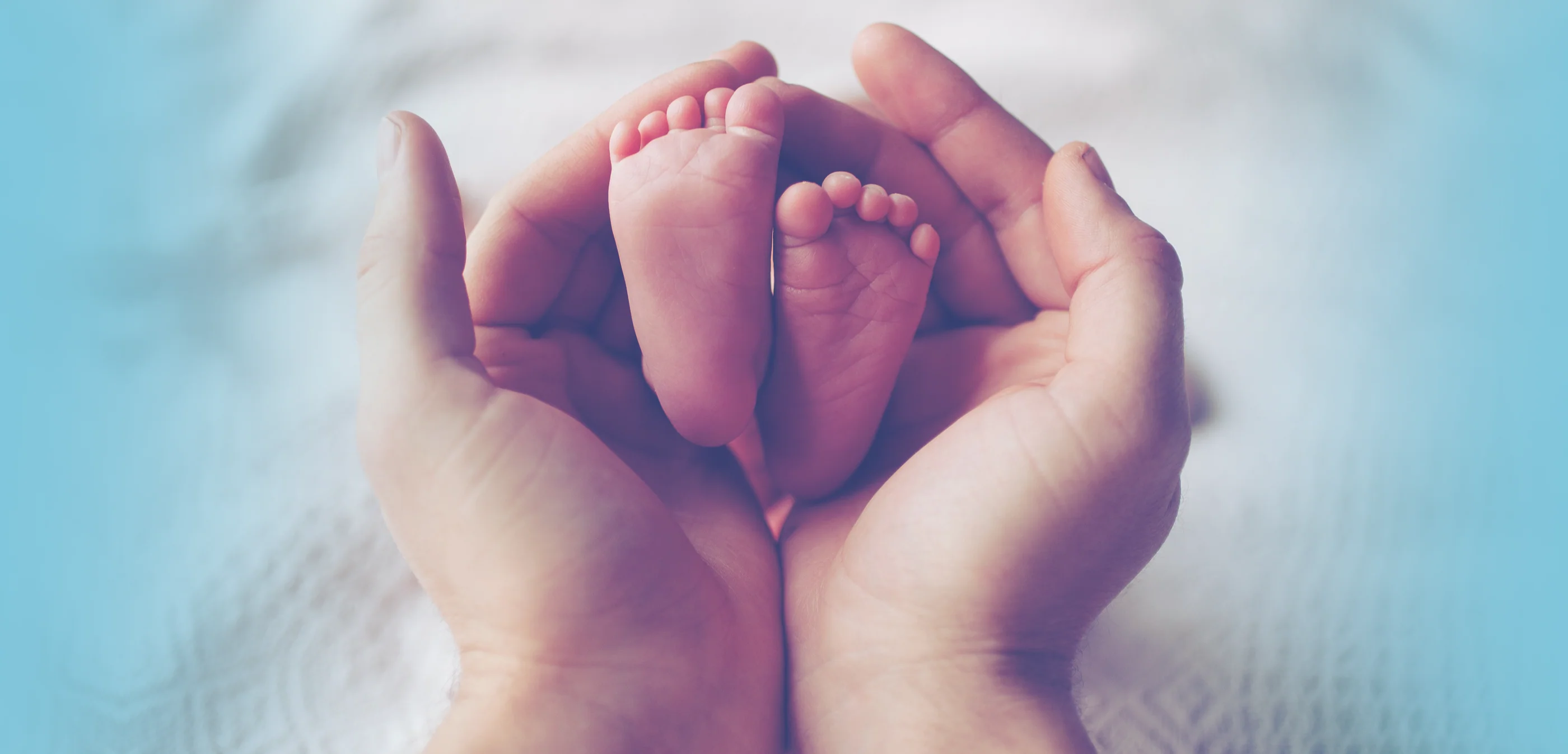 Gentle Comfort for Little Wonders
